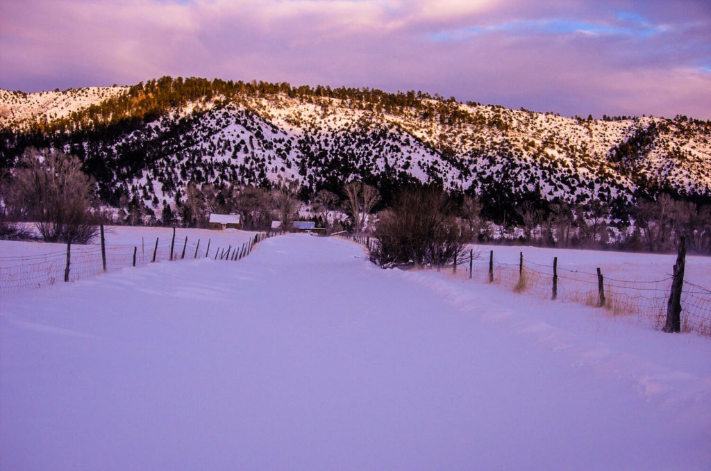Crystal RanchGoing to dig out Mary Jane The Lodge at Crystal Ranch