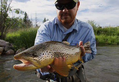 brown trout caught at Crystal Ranch