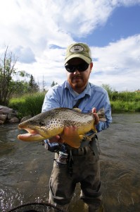 trophy utah trout